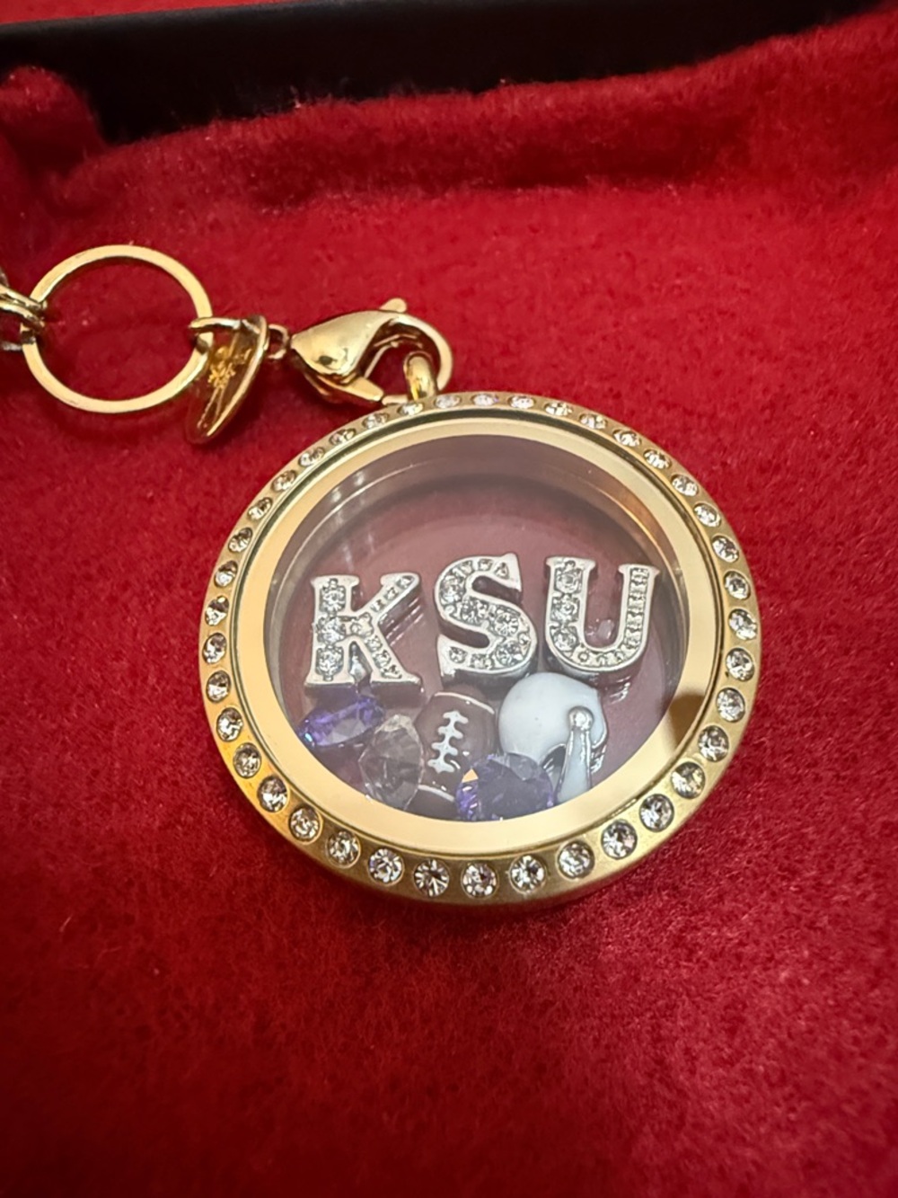 Kennesaw State University the Owls football Team Necklace